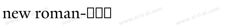 new roman字体转换